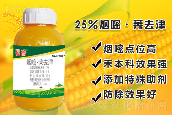 ���׳������e���@�׷N���݄���