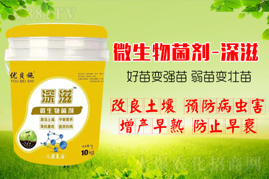 ������α��l(f��)ʽ�������������B(y��ng)�������������