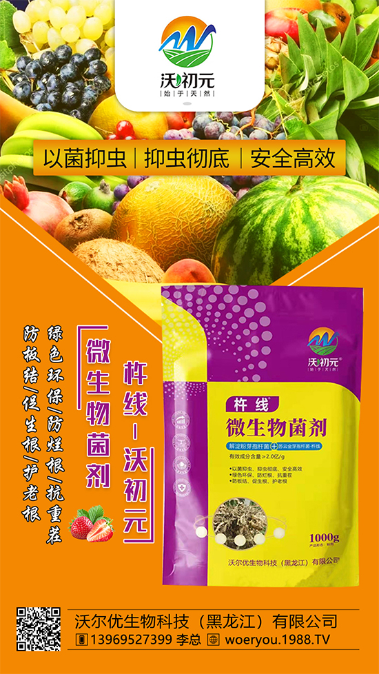 作物的根系，決定作物的產(chǎn)量