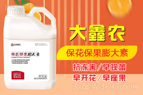 夏季保果膨大少不了，如何保果膨大？