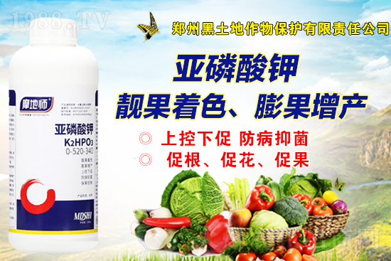 2022年4月7日磷銨市場價(jià)格行情報(bào)價(jià)