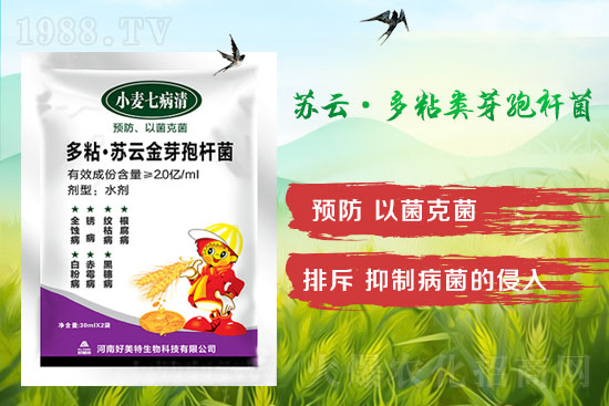 四月小麥赤霉病多發(fā)，不要錯(cuò)過防治時(shí)間！