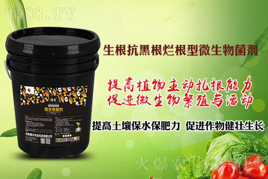 作物黑根爛根、黃苗弱苗頻發(fā)？用“它”輕松解決！百萬種植戶都在用！