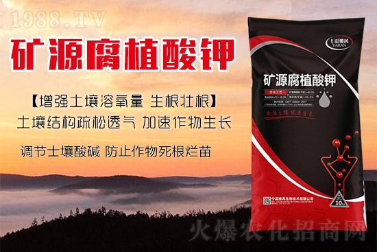 ����Nֲ��������(d��ng)�ׂ��������Ӹ��Ƹ�ϵ��r����