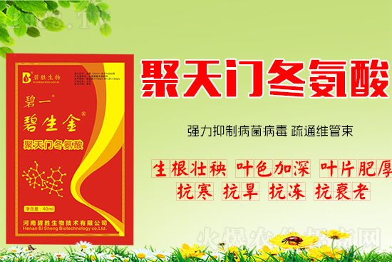 ���H�H����Ч���������T�����ṦЧ��R����һ���Ͷ���