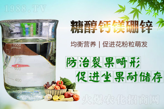     �����_���������ж���Ҫ���_�������ڵ����c��������