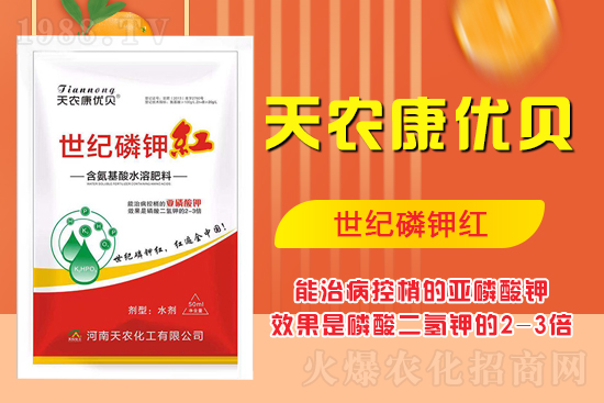 ���������ʲô���������˽����