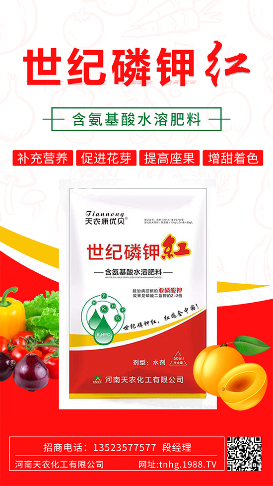 ���������ʲô���ã����˽����