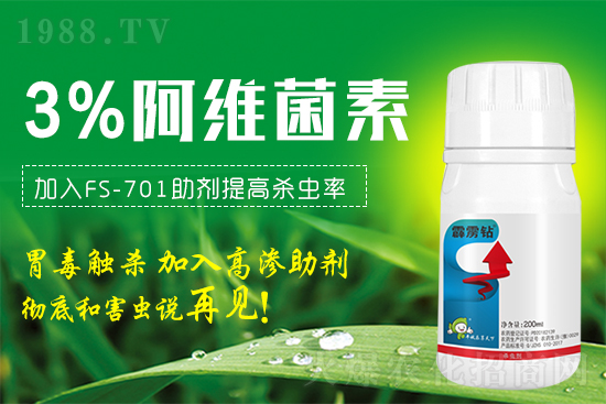 �@���x�����x���t֩�������x�β����������@�����䷽