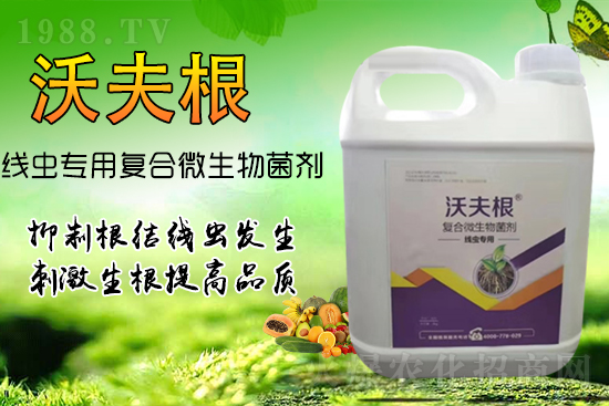 ���Y���x��Ⱦ���������������У�������Ч����!