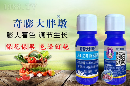     ������Ҫ�߮a(ch��n)��������P(gu��n)�I���������������D(zhu��n)ɫ�����u��������ڵĮa(ch��n)����Ʒ�|(zh��)�����������S��Ĺ��r(n��ng)���r(n��ng)������ӳ�Լҵ���������ס���������������������������������ܛ���չ�����r�l���l(f��)����