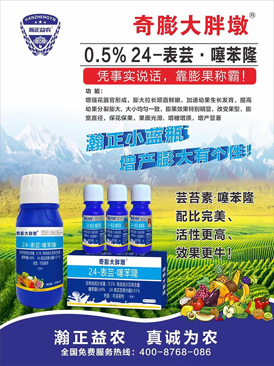     ������Ҫ�߮a(ch��n)��������P(gu��n)�I���������������D(zhu��n)ɫ�á��u��������ڵĮa(ch��n)����Ʒ�|(zh��)�����������S��Ĺ��r(n��ng)���r(n��ng)������ӳ�Լҵ���������ס���������������������������������ܛ���չ�����r�l���l(f��)����