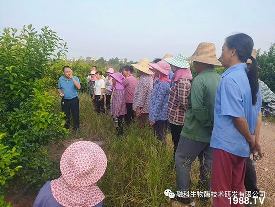 ���M(j��n)���g���^���������ٮa(ch��n)�I(y��)