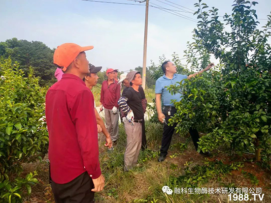 ���M(j��n)���g���^���������ٮa(ch��n)�I(y��)