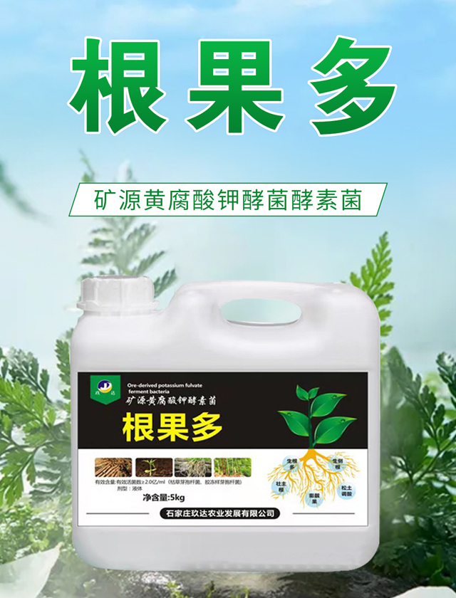 ������-���_�r(n��ng)�I(y��)_01