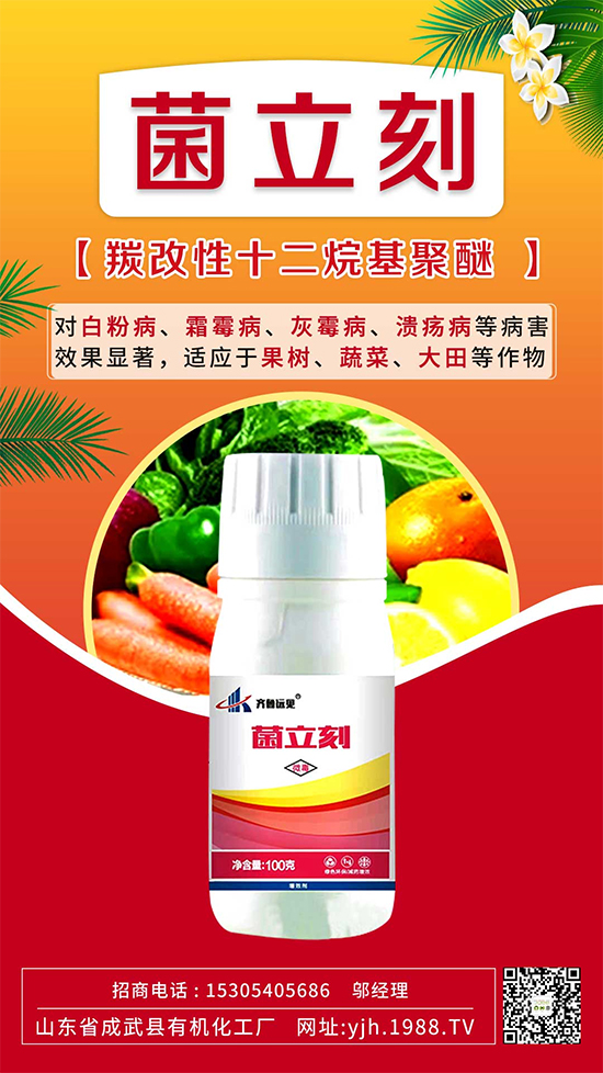 ����˪ù��߀�ǰ׷۲����e��ɵɵ�ֲ���������ηֱ漰���Σ�