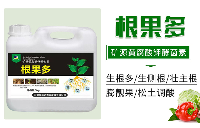 ������-���_�r(n��ng)�I(y��)_02