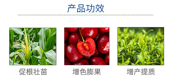 �ﲩʿ���F���޹�˾��873702��_03