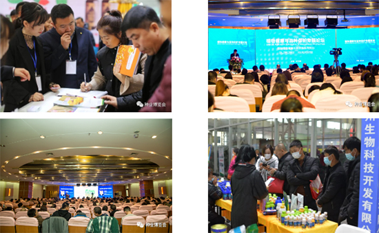 �����I�N�I(y��)���[��2