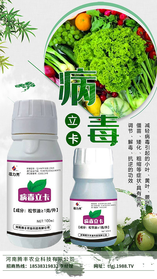 病毒病一種是由植物病毒寄生引起的病害。種類少、危害大,易得難治。在侵染蔬菜植株后會(huì)與蔬菜爭奪生長必需的養(yǎng)分,同時(shí)會(huì)影響植株的養(yǎng)分傳輸,抑制光合作用的進(jìn)行