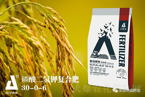 水稻分蘗不好對(duì)產(chǎn)量有多大影響？促進(jìn)水稻分蘗怎么做？