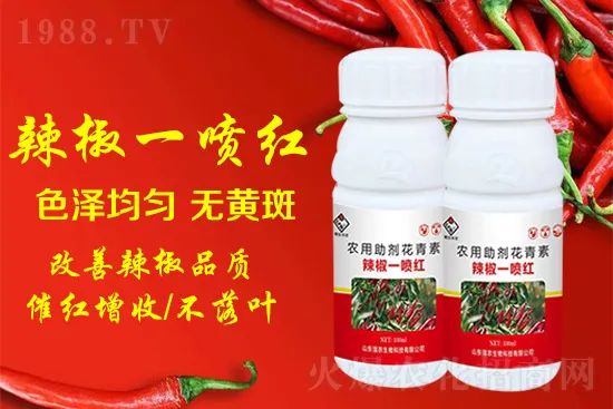 辣椒催紅增收專利產(chǎn)品！自然增紅零激素，色澤勻無黃斑