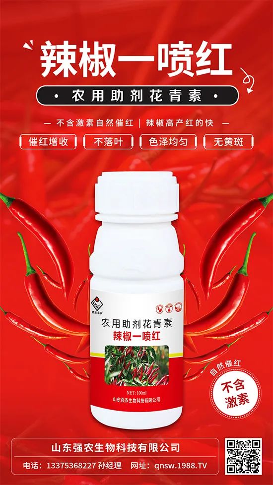 辣椒催紅增收專利產(chǎn)品！自然增紅零激素，色澤勻無黃斑