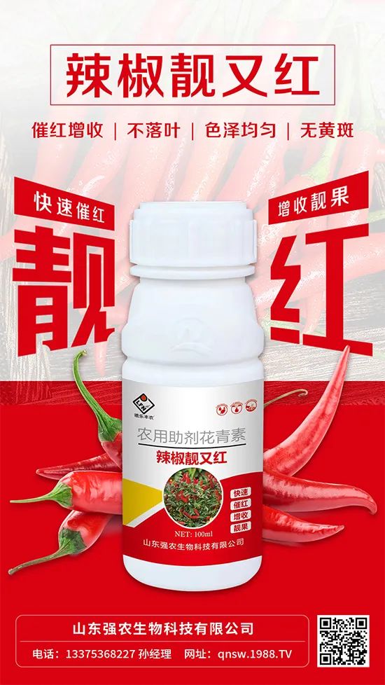 辣椒催紅增收專利產(chǎn)品！自然增紅零激素，色澤勻無黃斑