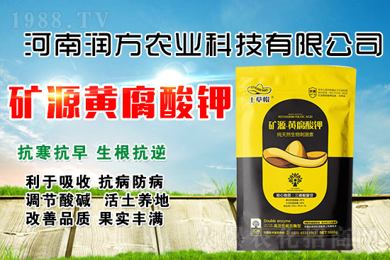 礦源黃腐酸鉀為什么牛？怎么用才能效果翻倍？