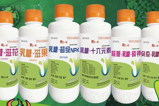 獼猴桃需肥特點有哪些？獼猴桃膨大肥怎么施