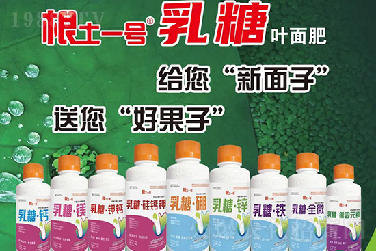 獼猴桃需肥特點有哪些？獼猴桃膨大肥怎么施