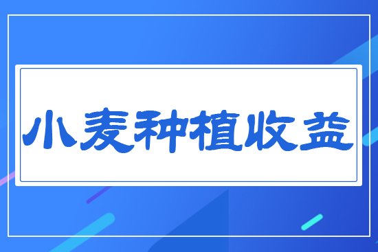 С���Nֲ����