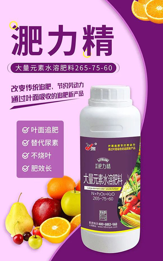 玉米追肥復(fù)合肥好還是尿素好？很多人都錯了！它才是正確選擇