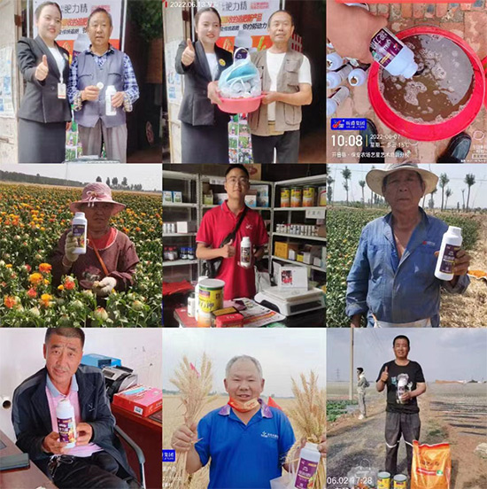 玉米追肥復(fù)合肥好還是尿素好？很多人都錯了！它才是正確選擇