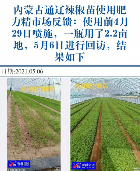 玉米追肥復(fù)合肥好還是尿素好？很多人都錯了！它才是正確選擇