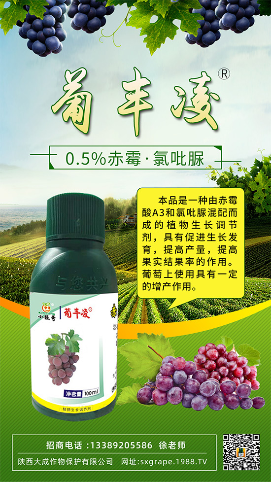 ���ѹ���ϡ������С��������ô�k���@Щ�����ஔ��Ҫ