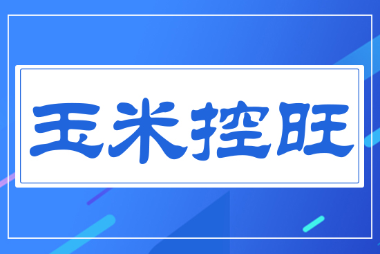 ���׿���