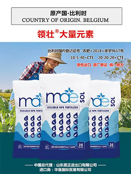 ��500�2000���߶��M(j��n)�ڷʡ��ԃr(ji��)�Ȱ�����