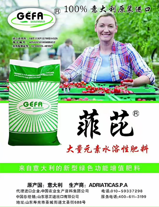 ��500�2000���߶��M(j��n)�ڷʡ��ԃr(ji��)�Ȱ�����