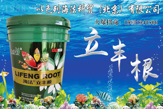 海藻肥生根效果怎么樣？比傳統(tǒng)肥料好在哪