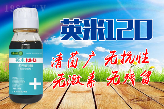 ��轰׷۲��İY����ʲô����轰׷۲����η�����