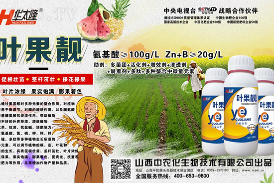     蘋果果個小是什么原因？解決對策有哪些？