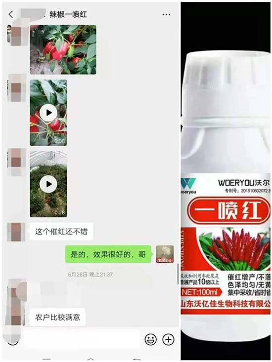 ���t�����95%���߼t�����~�����뷭�׷�����������һ���t��