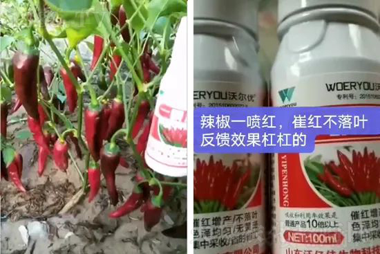 ���t�����95%���߼t�����~�����뷭�׷�����������һ���t��