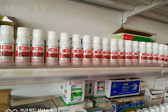 ���t�����95%���߼t�����~�����뷭�׷�����������һ���t��