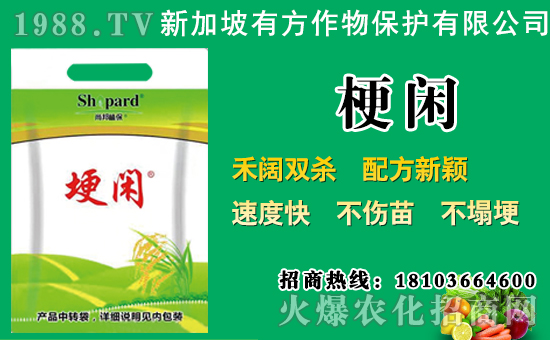 ���݄�ԭˎ�r(ji��)��