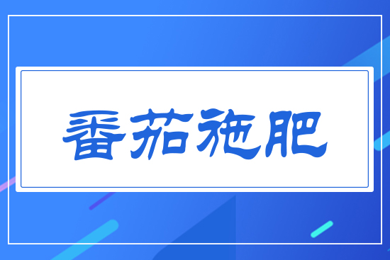 ����ʩ��