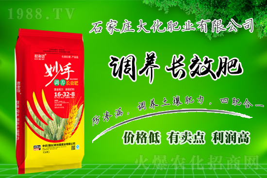 戰(zhàn)略合作再升級，石家莊大化肥業(yè)再次簽約1988.TV！