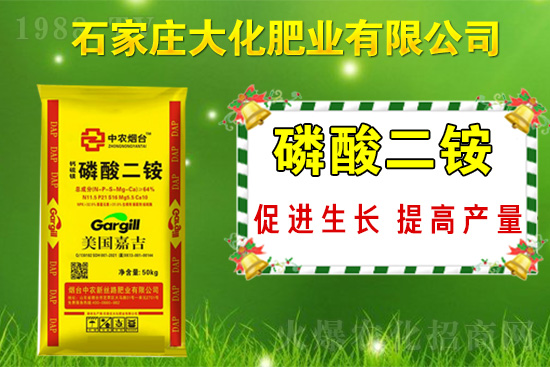 戰(zhàn)略合作再升級，石家莊大化肥業(yè)再次簽約1988.TV！