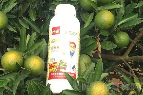 �t���ء�ֻ���D(zhu��n)ɫ�������D(zhu��n)ɫ���������߼t���ó���